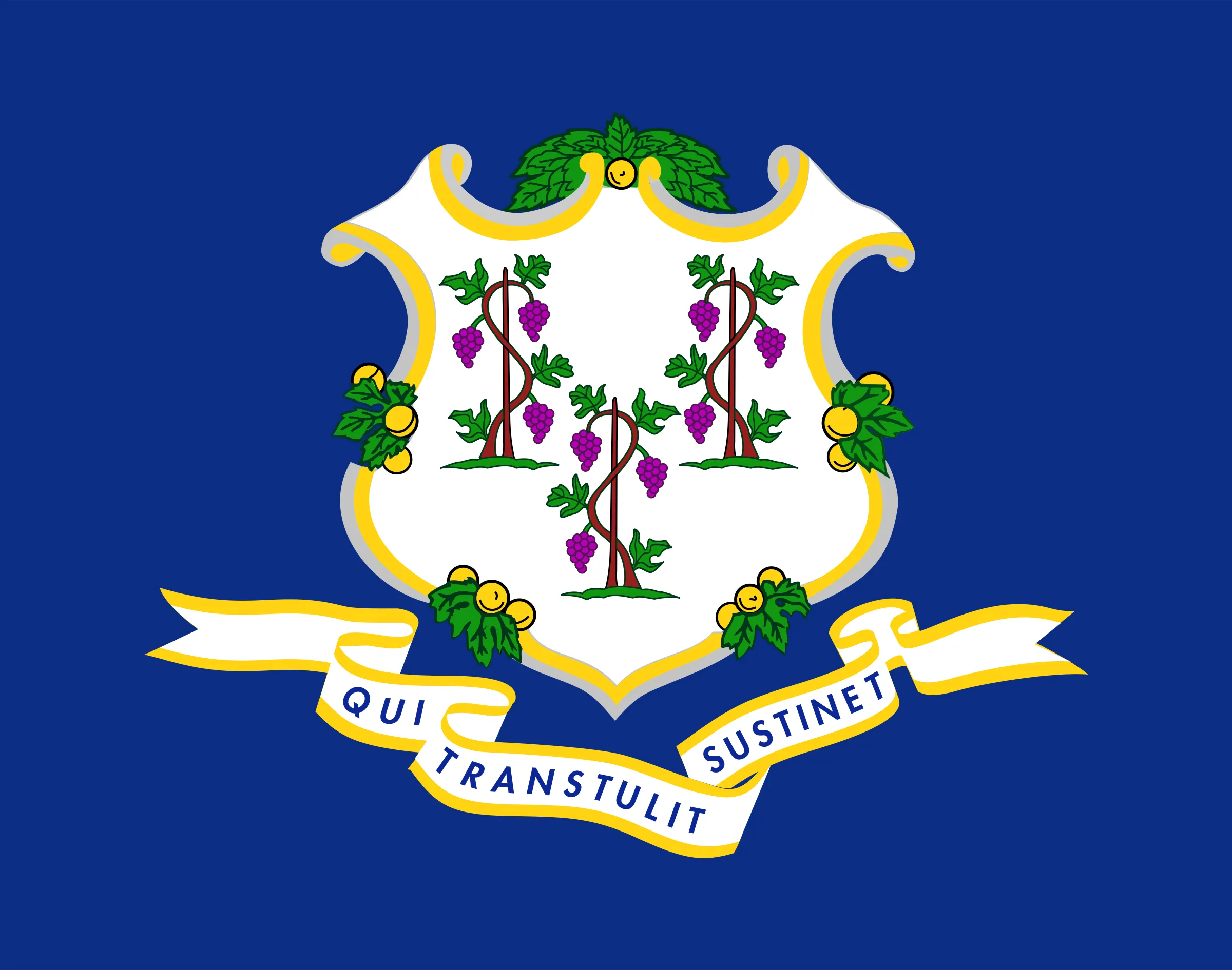 Non-Resident CT State Pistol Permit