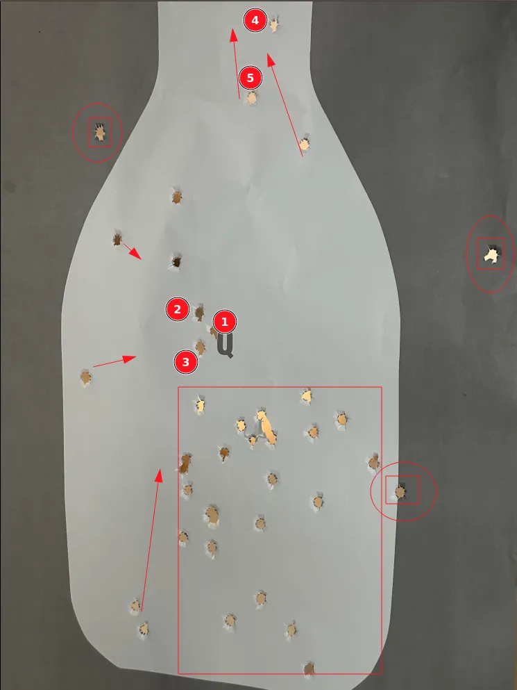 Shot Placement Training